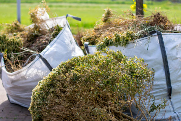 Best Full-Service Junk Removal  in Corning, AR